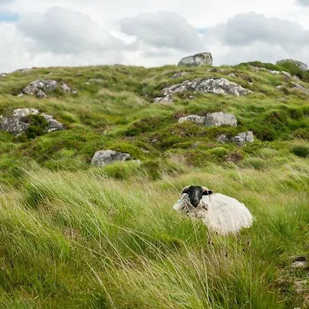Glen Cottages, Clifden, Co. Galway - 3 Bedrooms Sleeps 5 *